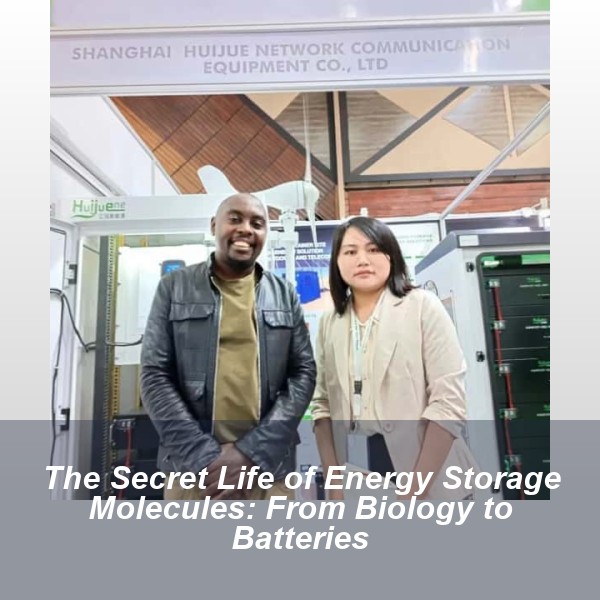 The Secret Life of Energy Storage Molecules: From Biology to Batteries
